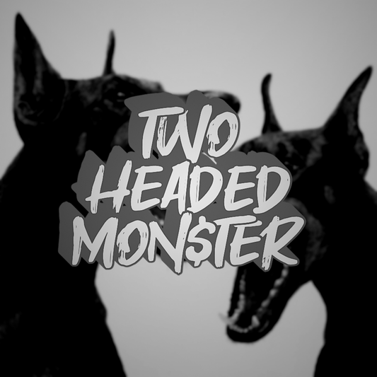 TWO HEADED MON$TER (HEAVY HITTER)