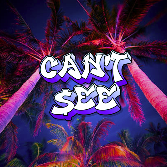 CAN'T $EE (HEAVY HITTER)